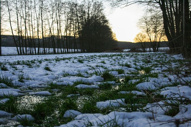 Bild: Ist das der Sommer 2016?