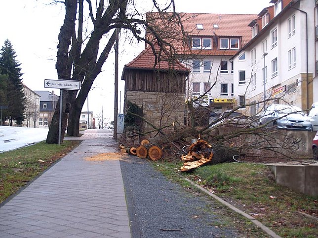Bild: Der Tag danach in Nordhausen