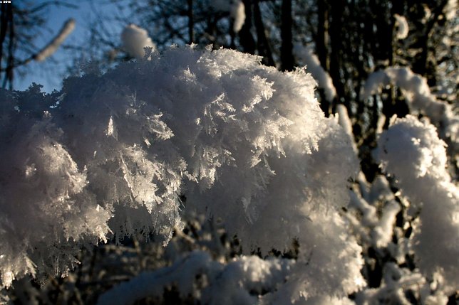 Bild: Wetter-Bild