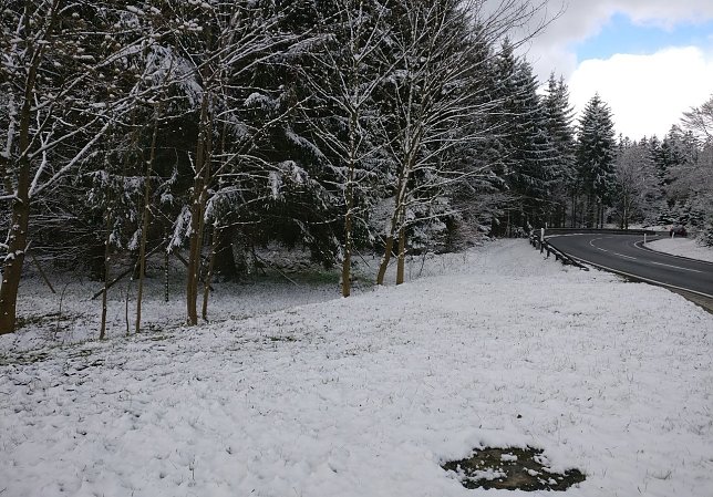 Bild: Gestern bei Hasselfelde