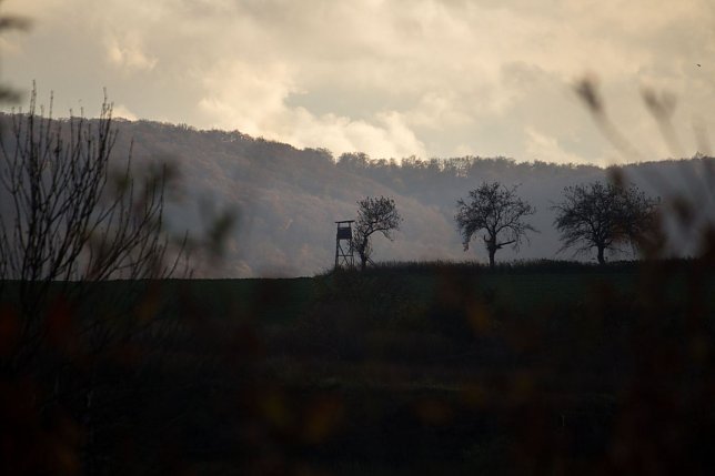 Bild: Wetter-Bild