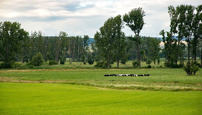 Bild: Wetterbild
