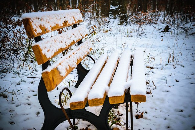 Bild: Winterliches Intermezzo