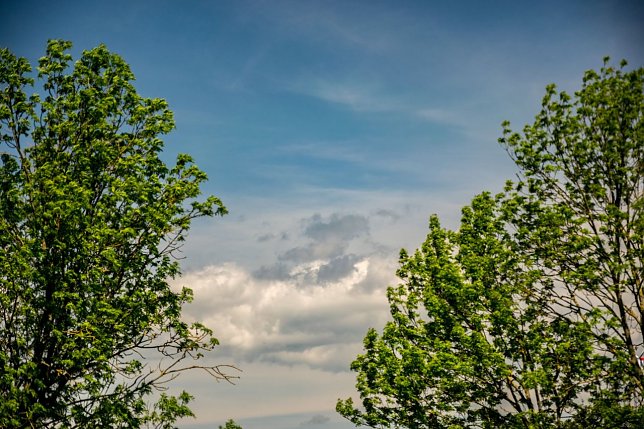 Bild: Wetterbild