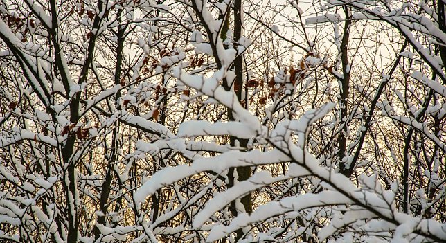 Bild: Wetterbild