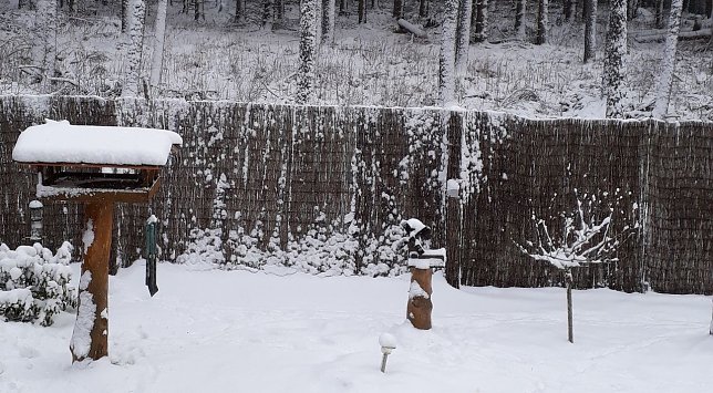 Bild: Heute Morgen in Sophienhof