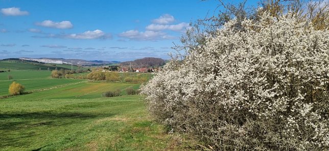 Bild: Wetterbild