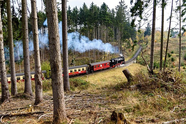 Bild: Urlaub geht auch im Harz
