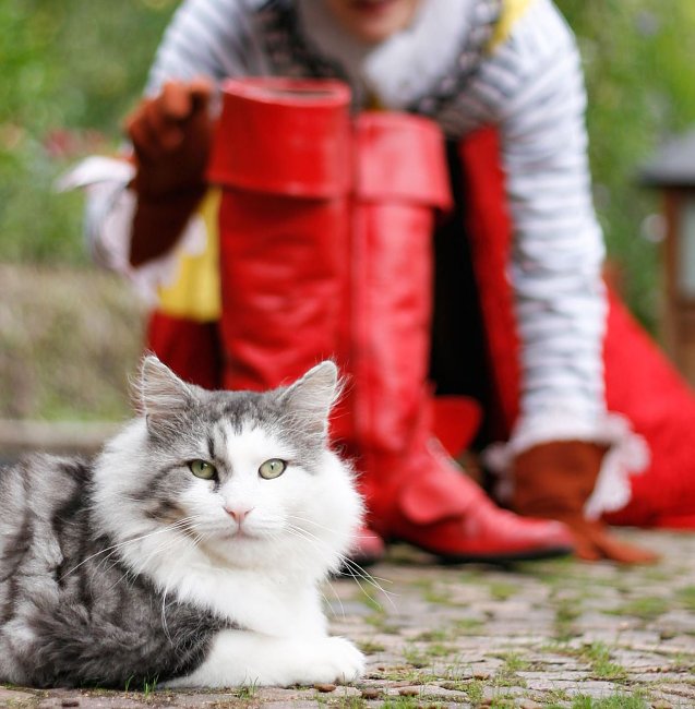 Bild: Der gestiefelte Kater soll in Nordhausen und Sondershausen den Kindern die Vorweihnachtszeit vers&uuml;&szlig;en
