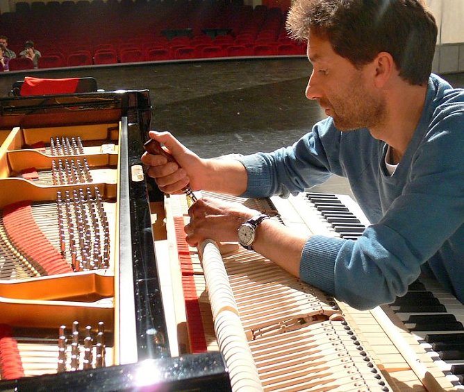 Gestimmt (Foto: I. K&uuml;hn)