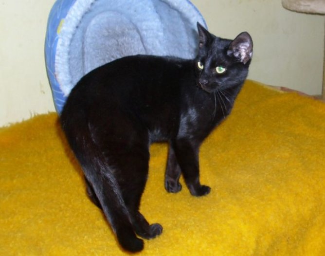 Dora (Foto: C. Knust) Dora (Foto: C. Knust)