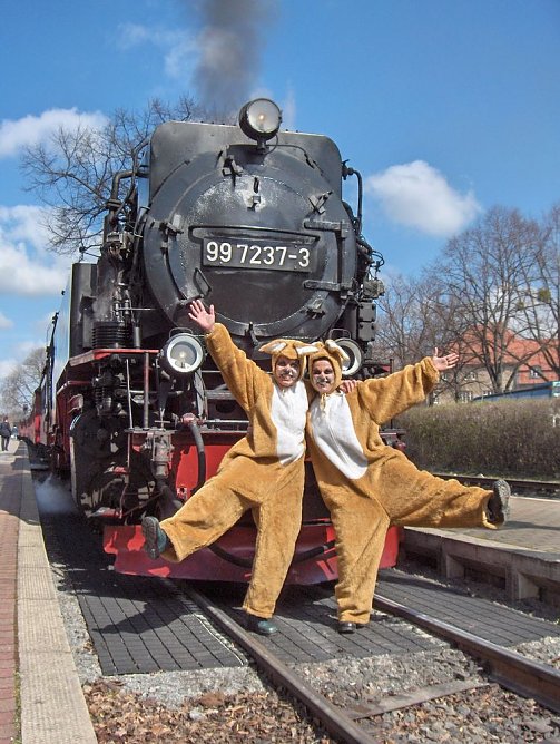 hsb (Foto: hsb) hsb (Foto: hsb)