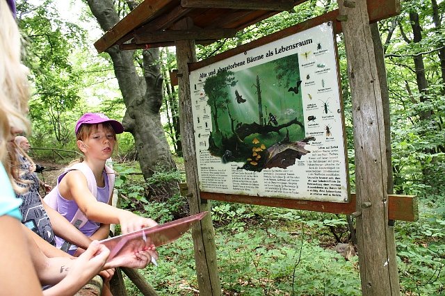 Klippenrallye (Foto: NEHW)