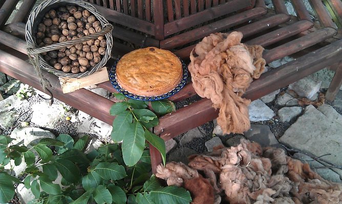 Walnussbaum (Foto: Kristina Bauer) Walnussbaum (Foto: Kristina Bauer)