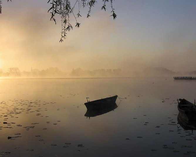 Herbstnebel (Foto: DWD) Herbstnebel (Foto: DWD)