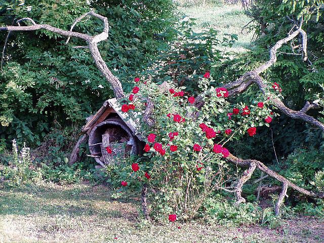 Rosenbaum (Foto: Kunst und Kram) Rosenbaum (Foto: Kunst und Kram)