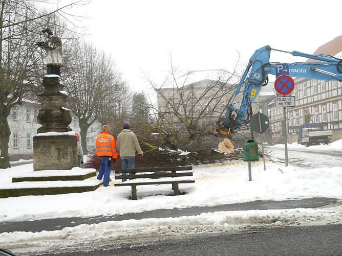 B&auml;ume gef&auml;llt am Friedensplatz (Foto: Ilka K&uuml;hn)