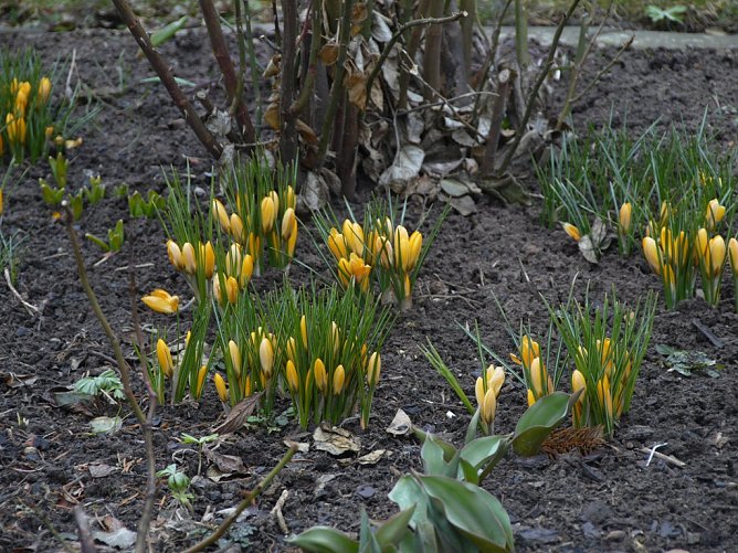 Fr&uuml;hjahrsputz in Uder (Foto: Ilka K&uuml;hn)