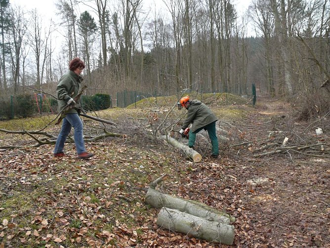 Frühjahrsputz (Foto: Ilka Kühn) Frühjahrsputz (Foto: Ilka Kühn)