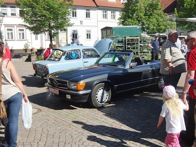 Autofr&uuml;hling (Foto: Ilka K&uuml;hn)