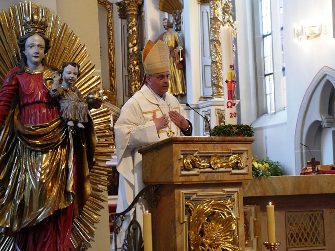 Weihbischof Dr. Hauke (Foto: Ilka Kühn) Weihbischof Dr. Hauke (Foto: Ilka Kühn)