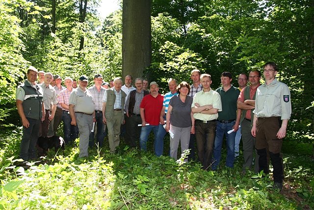 Im Wald (Foto: Gisela Reinhardt)