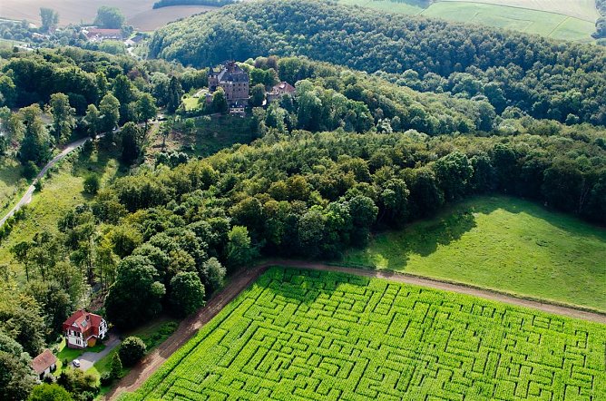 Maislabyrinth (Foto: Anett Reyer-Günther) Maislabyrinth (Foto: Anett Reyer-Günther)