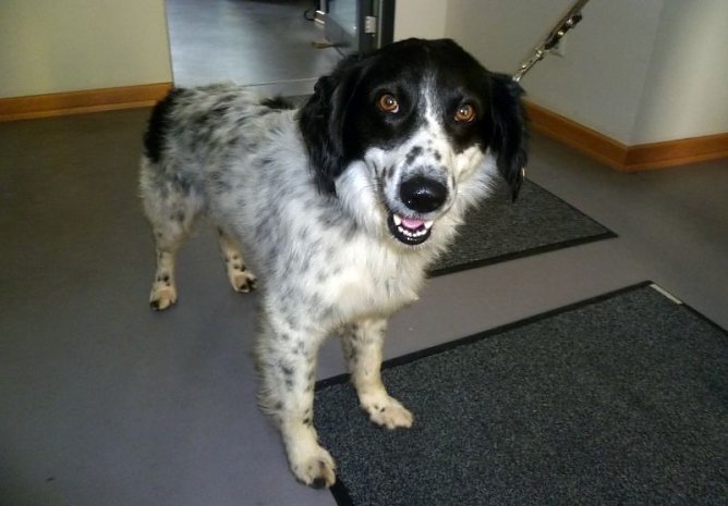 Zur&uuml;ckgebracht (Foto: API)