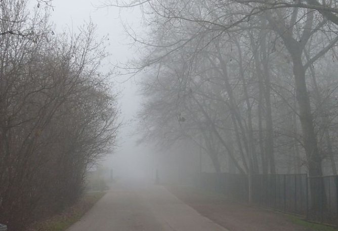 Herbstwetter (Foto: nnz)
