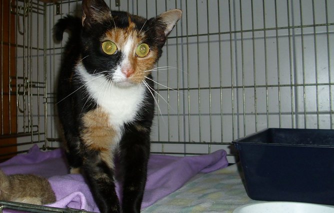 Anja (Foto: C. Knust) Anja (Foto: C. Knust)