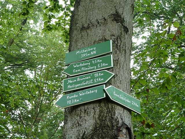 Flinsberg-Warteberg (Foto: Matthias Bollwahn)