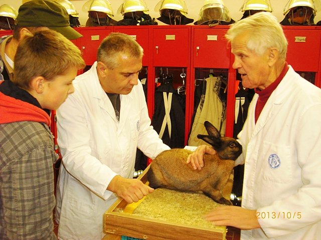 Auswahl der Besten  (Foto: Erwin Kranert)