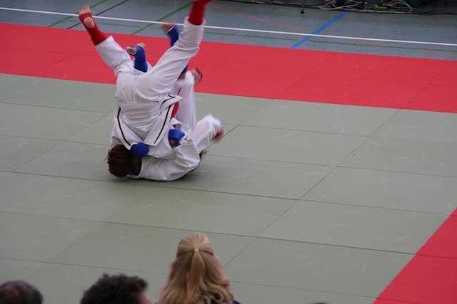 JuJutsu (Foto: Gerald Eckert)