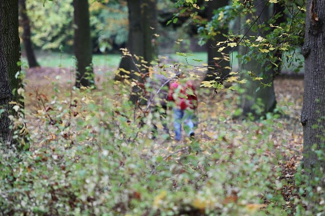 Im Herbst wandern (Foto: nnz)