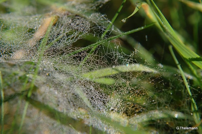 Wetter-Bild (Foto: Gernot Thelemann) Wetter-Bild (Foto: Gernot Thelemann)