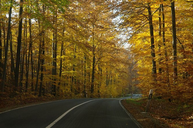 Wetter-Bild (Foto: G. Thelemann) Wetter-Bild (Foto: G. Thelemann)
