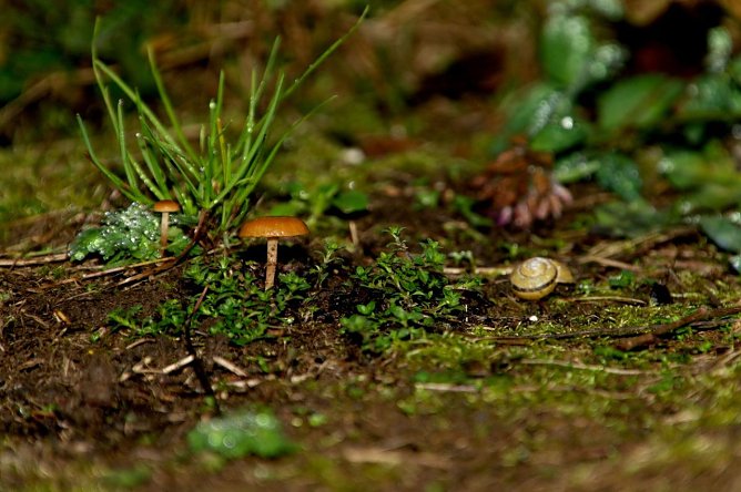 Wetter-Bild (Foto: Gernot Thelemann)