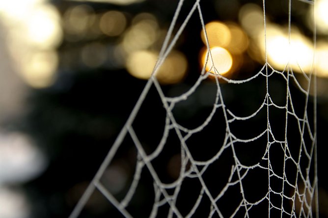 Wetter-Bild (Foto: Gernot Thelemann) Wetter-Bild (Foto: Gernot Thelemann)