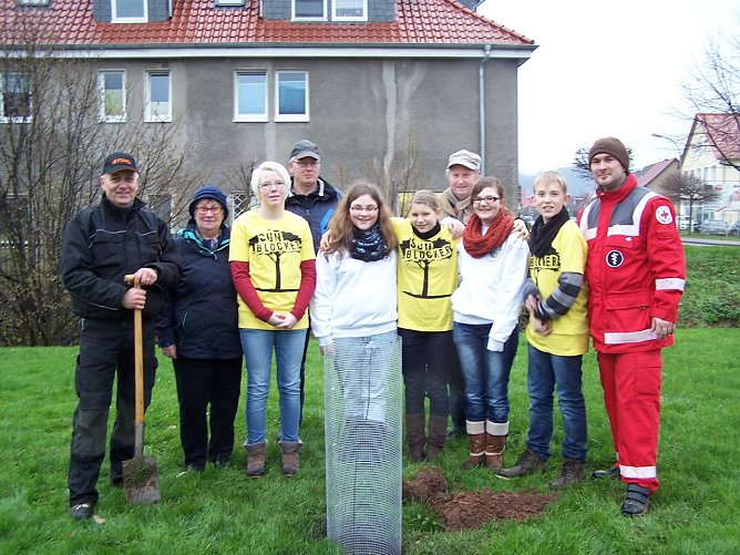 B&auml;ume gepflanzt (Foto: Nicole Tr&uuml;mper)