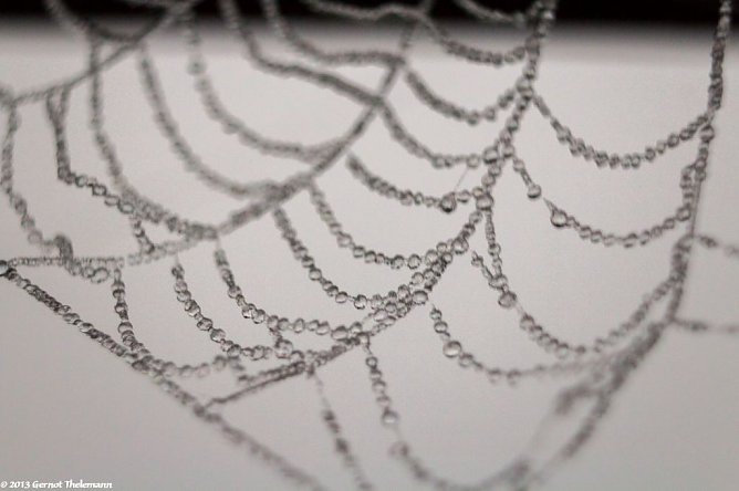 Wetter-Bild (Foto: Gernot Thelemann) Wetter-Bild (Foto: Gernot Thelemann)