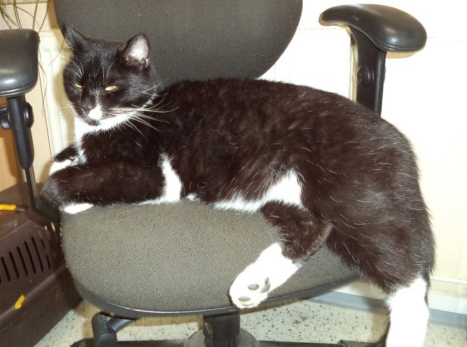 Klinker (Foto: C. Knust) Klinker (Foto: C. Knust)