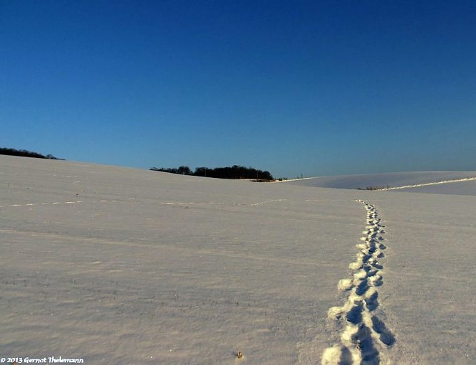 Wetter-Bild (Foto: Gernot Thelemann)