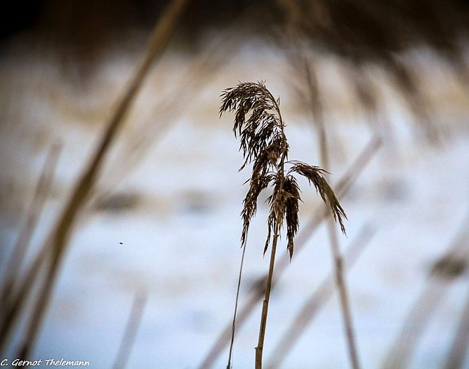 Wetter-Bild (Foto: Gernot Thelemann)