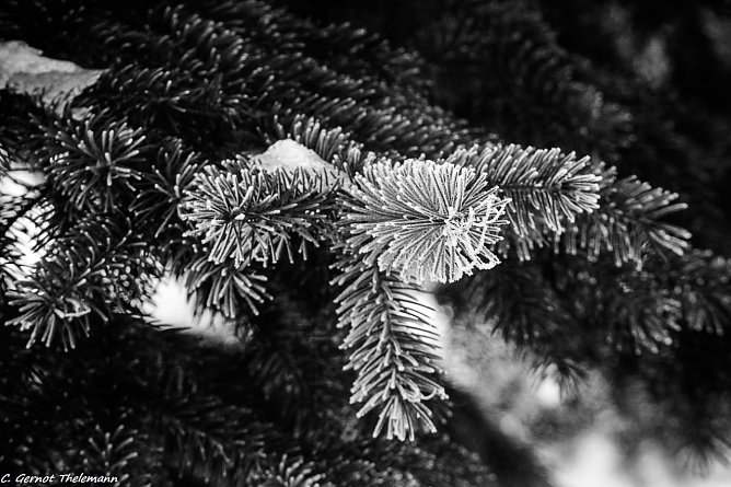 Wetter-Bild (Foto: Gernot Thelemann) Wetter-Bild (Foto: Gernot Thelemann)