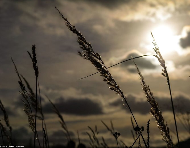 Wetter-Bild (Foto: Gernot Thelemann) Wetter-Bild (Foto: Gernot Thelemann)
