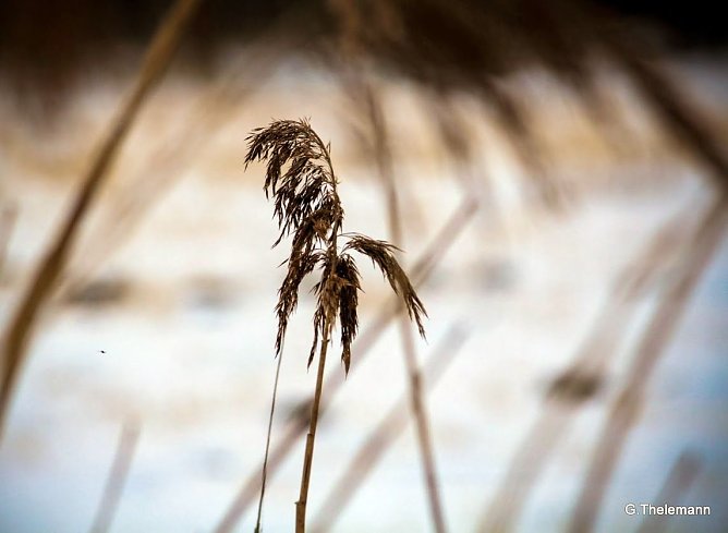 Wetter-Bild (Foto: Gernot Thelemann)