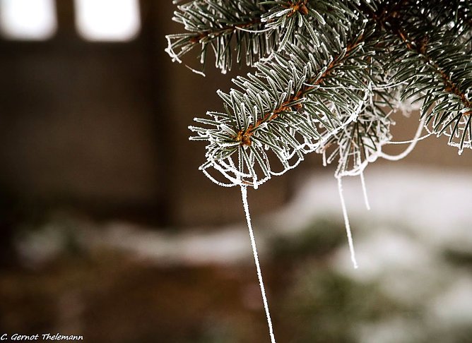 Wetter-Bild (Foto: Gernot Thelemann) Wetter-Bild (Foto: Gernot Thelemann)