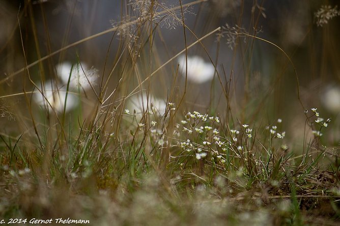 Wetter-Bild (Foto: Gernot Thelemann) Wetter-Bild (Foto: Gernot Thelemann)