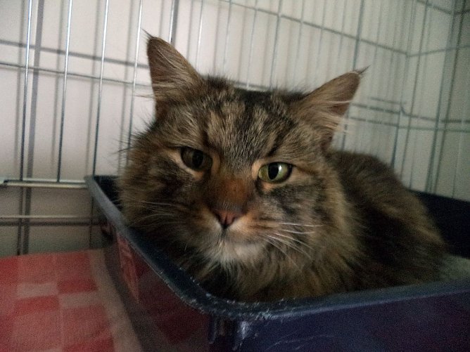 Findelkind (Foto: C. Knust)