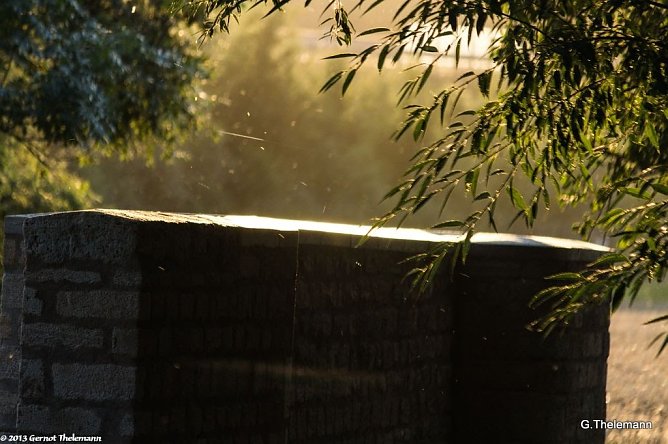 Wetter-Bild (Foto: Gernot Thelemann)